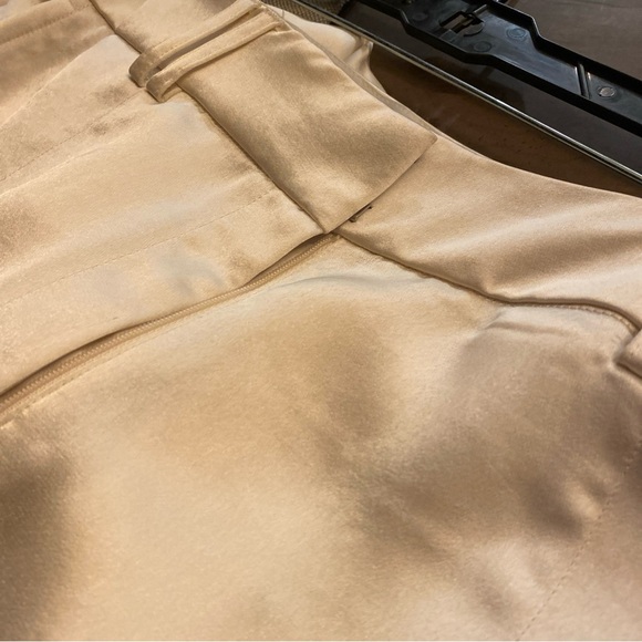 Express Ladies Champagne Satin High Waisted Cargo Joggers NWT Size 14R - Picture 5 of 6